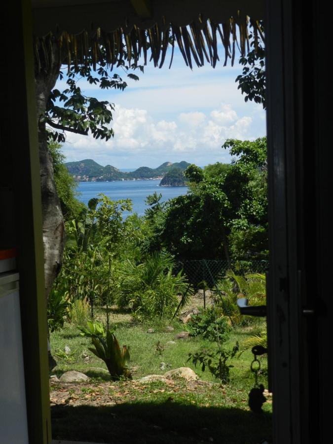 Residence Coco D'Iles, Gite Ti Bambou Terre-de-Bas Екстериор снимка