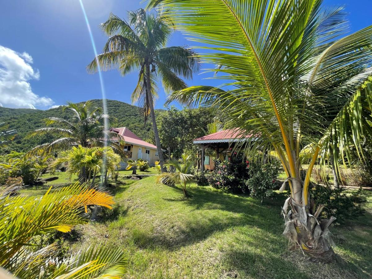 Residence Coco D'Iles, Gite Ti Bambou Terre-de-Bas Екстериор снимка
